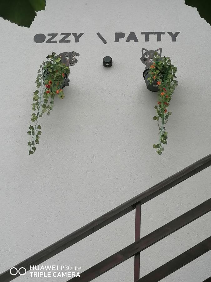 ホテル Casa Ozzy&Patty ドウア・マ エクステリア 写真